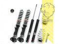 LT TA Technix Lowering Coilovers Kit BMW E36 Sedan Touring Coupe 92-99